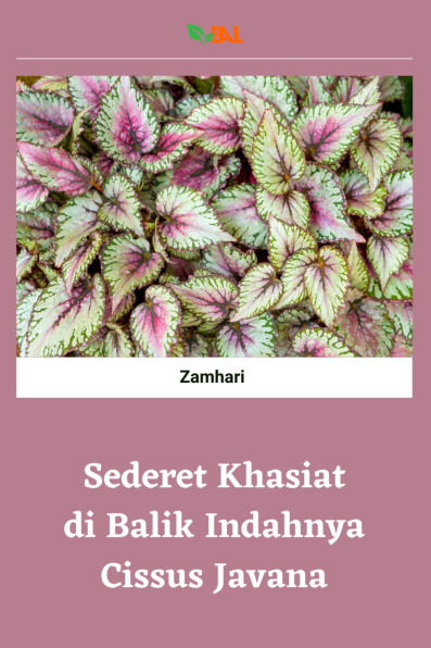 Sampul buku Sederet Khasiat di B...